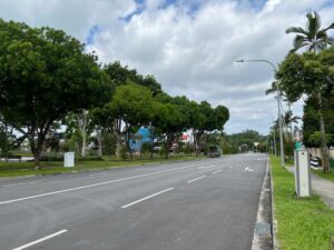 Nee Soon Road from near junction with Springleaf Road, looking north