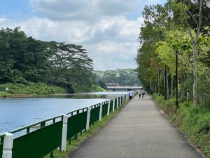 Springleaf Park Connector looking east towards Lower Seletar Reservoir Park