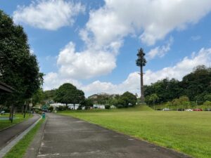 Mobile phone antenna mast disguised as a tree