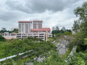 HDB blocks and carpark in Bukit Batok Central, seen from raised boardwalk in Bukit Batok Neighbourhood Park.