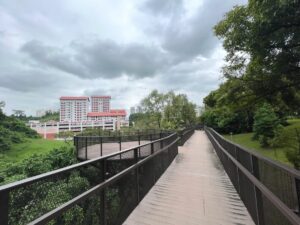 Observation deck on elevated boardwalk at Bukit Batok Neighbourhood Park