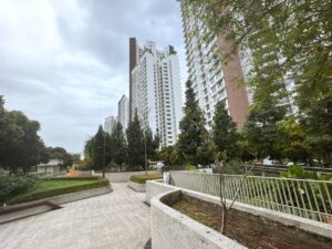 Rooftop garden above carpark at Skyline II @ Bukit Batok development