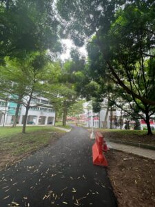 Footpath heading down Bukit Batok Central Park