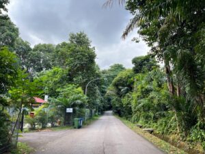 Another shot of road on Woodleigh Park