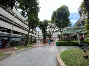 Footpath leading down Bukit Merah Central