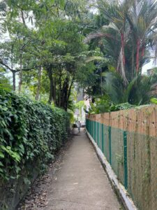 Narrow footpath connecting Prince Charles Crescent to Jervois Road, with step-only access on both ends