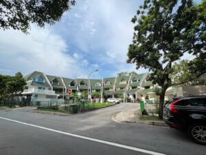 Interesting half-ring of terrace houses on Jervois Road