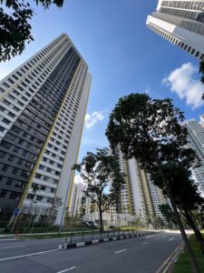 Blocks of flats forming part of the Clementi Peaks development, which I did not explore this walk. Perhaps a future one! 