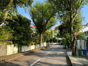 Eng Kong Crescent. Look at all those trees. The estate I lived in used to look like this, before they chopped all the trees down and planted shorter ones for some reason. 
