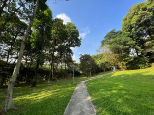 Unassuming footpath between Cheng Soon Garden and Savoy Park. I appreciate relatively undeveloped green spaces like this. They make great interim spaces. 
