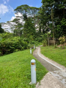 Another footpath seemingly leading into the jungle, although my map told me it led to Golden Rise estate, the next estate down. 