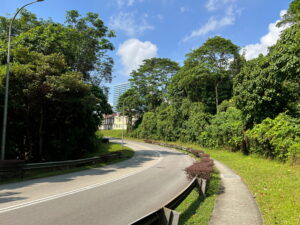 Toh Tuck Road curving its way towards Bukit Batok Avenue 3