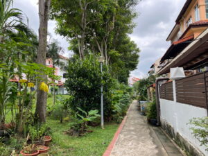 Footpath running along back of houses on Loyang View,